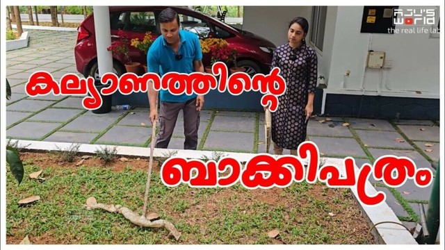 കല്യാണത്തിന് ശേഷം.../Agriculture tips/Vegetable  Garden /Vegetable Harvest /Krishi /Family vlog