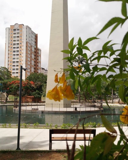 Detalhe de uma flor amarela num ramo com folhas verdes em um parque. Ao fundo há um banco marrom de madeira ao lado de um poste de iluminação e mais atrás um laguinho com um obelisco branco se erguendo majestosamente ao centro.