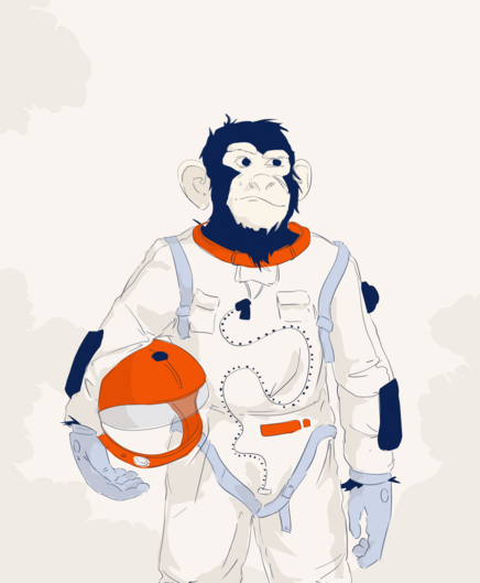 monkey in a space-suit