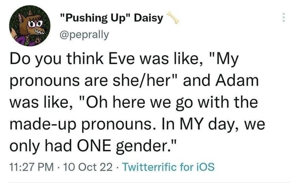 Do you think Eve was like "my pronouns are she/her" and Adam was like "oh here we go with the made-up pronouns. In MY day we only had ONE gender"