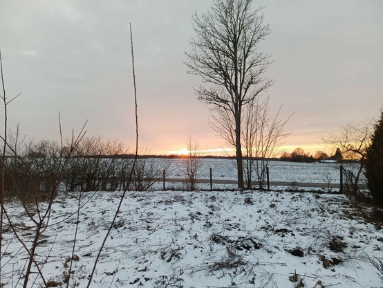 A nice sunset peeking out under cloud cover. A tall tree and some snowy landscape.
