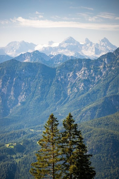 Auf dem Bild ist eine Berglandschaft zu sehen. Im Vordergrund stehen zwei grüne Nadelbäume, während sich im Hintergrund eine Kette von Bergen erstreckt. Die mittleren Bergketten sind mit Wäldern bedeckt, während die höchsten Gipfel schroffe Felsen und schneebedeckte Abschnitte aufweisen. Der Himmel ist klar mit wenigen Wolken, und die Szene wird von natürlichem Licht durchflutet, was eine friedliche und majestätische Atmosphäre schafft.