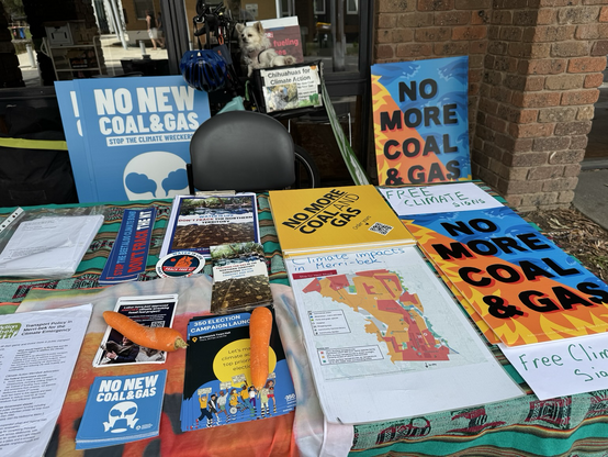 An climate information table with carrots as paper weights with two chihuahuas in a bike basket behind the table