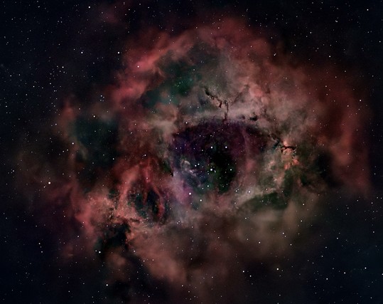 The Rosette Nebula