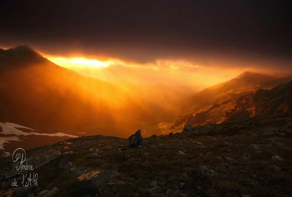 L'Embrasement des Solitudes

Mes pâtes cuisent tranquillement sous le rocher, rajoutant un bloubloutement fluctuant au son des torrents qui se coulent en voix changeantes. Surprise : un nuage semble se colorer par dessous. D'abord, c'est timide : je fais semblant de l'ignorer. 

… Jusqu'au moment où ce n'est plus ignorable... J’attrape mon matériel photo, cours jusqu'au début de la fin de la pente fuyante qui se jette jusqu'à une cabane de berger. La lumière est vraiment, vraiment démente. La montagne n'est plus qu'une succession de crêtes orange fluo entourées par des zones sombres. Le soleil se laisse choir sous le nuage, un rayon rougeoyant me caresse. L'instant, d'une puissance incroyable, n'est pas re-transcriptible en image. Des bancs de brume incandescents se laissent chuter dans des abîmes d'ombre... 

La pluie recommence devant le paysage fluo. Tout s'éteint. Je reste un moment, groggy, sous la pluie. Puis, trempée, m'en retourne à mes pâtes froides. 

Copyright : Ambre de l'Alpe