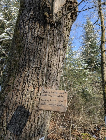 A wooden sign is hanging from a tree which reads: "True words aren't always pretty. Pretty words aren't always true."