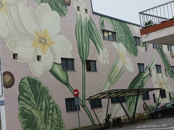 Mural/Grafitti cubriendo fachada del lateral de un edificio. Flores adornando la fachada.