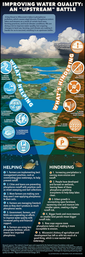 Phosphorus pollution fuels algal blooms, threatening lake health. Sustainable farming, urban planning, and policy efforts help, but challenges like wetland loss and heavy rainfall persist.