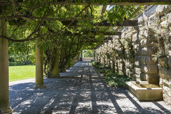 Giant Ivy Covered Trellis Biltmore Estate Ashville North Carolina

The giant trellis and ivy-covered pergola near the gardens of the Biltmore Estate in Asheville, North Carolina, is a breathtaking architectural feature that seamlessly blends nature with the estate’s grand design. Stretching alongside the Walled Garden, this ornate stone and iron trellis is adorned with cascading ivy and climbing vines, creating a lush, shaded retreat for visitors.

Designed in harmony with the Gilded Age elegance of Biltmore, the trellis provides a picturesque walkway where dappled sunlight filters through the foliage, casting intricate patterns on the stone paths below. The ivy, meticulously maintained yet left to grow in natural beauty, enhances the romantic, timeless charm of the estate’s landscape.

As part of the Frederick Law Olmsted-designed gardens, this structure offers a serene transition between the formal flowerbeds of the Walled Garden and the more naturalistic plantings of the Shrub Garden and Conservatory beyond. 

Image:
https://fineartamerica.com/featured/giant-ivy-covered-trellis-biltmore-estate-ashville-north-carolina-wayne-moran.html

Read more:
https://waynemoranphotography.com/blog/exploring-the-biltmore-estate-ashville-north-carolina/

#biltmore #historic #architecture #biltmoreestate #vanderbilt #ashville #northcarolina
#mountain #landscape 

#AYearForArt #buyintoArt #fineart #art