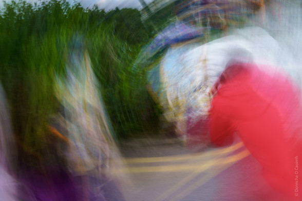 Abstract photograph with bright colours, greenery and a blurred effect.