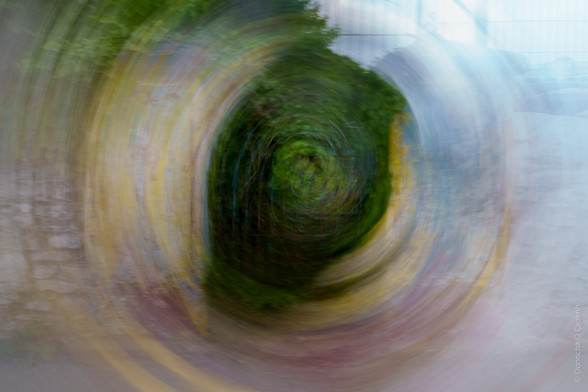 Abstract photograph of greenery and a swirl effect.