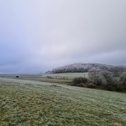 Hügelige Wiesen- und Waldlandschaft mit Rauhreif unter grauen Wolken