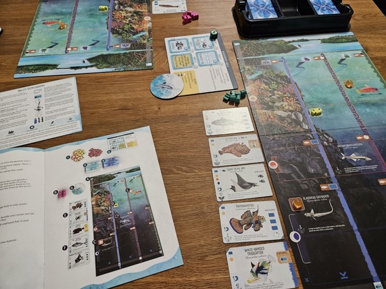 Aufbau für eine Partie Finspan mit zwei Spieler*innen. Die horizontalen Spielbretter stechen besonders ins Auge. Auf und daneben werden Karten platziert. In der Mitte liegt eine Karte zur Runden- und Endwertung.