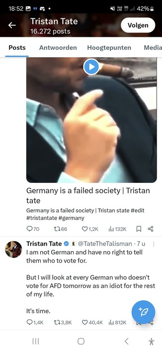 Screenshot of x of Tristan tate calling to vote for afd and sharing a Germany is a failed country video