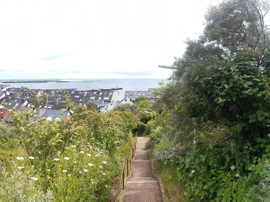 In der Mitte eine Treppe aus rötlichen Steinen, die zwischen sehr viel Grün nach unten führt. Links ein paar weiße Blüten.
Im Hintergrund links viele Hausdächer, der Horizont ist das Meer. In der linken Bildhälfte ist anstelle des Horizonts eine flache Insel zu sehen.
Der rechte Horizont wird durch den Baum im Vordergrund verdeckt.