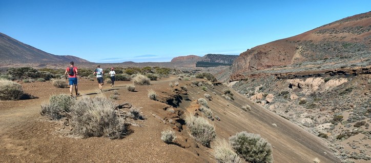 Group of runners in a highland dry rocky area, under a clear blue sky.