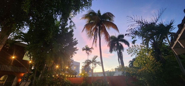 Taken from inside a villa at sunset over San Juan Puerto Rico with pink clouds a palm tree, and lush green plantlife.
