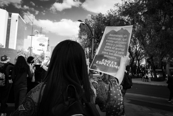 Fotografía en blanco y negro de una protesta contra el especismo en la Ciudad de México. Una activista con su mano derecha sostiene un cartel que a la letra dice: Asumimos, sin cuestionar, que existe un criterio ético y político para el animal humano y otro para los demás animales… ESO ES ESPECISMO. En segundo plano a la derecha se observan unos árboles y a la izquierda otras personas humanas y unos edificios, en el cielo hay nubes. © Sofía Dumat|CLAMOR DE LIBERTAD