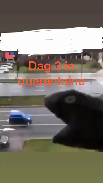 Nog uit het coronatijdperk: 

"Dag drie in quarantaine"

Video van een handpop, gemaakt van een sok, die voor het raam zogenaamd de auto's op de weg achter het raam opeet.