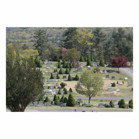 tilt shift photo of cemetery with ornamental grave stones and trees