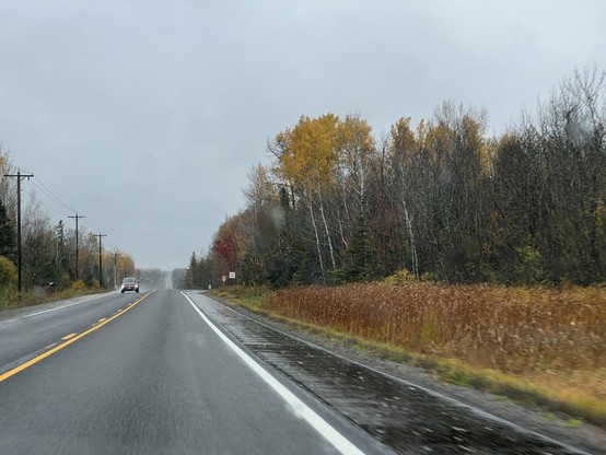 A wet highway stretches into the distance on a rainy autumn day, lined with golden and red trees, power lines, and a passing car.