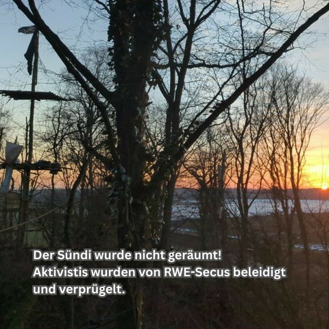Ein Sonnenuntergang, davor einige hohe Bäume, rechts ein Mast mit Plattformen daran auf verschiedenen Höhen. Am Baum im Vordergrund sehr viel Efeu. Text unten: Der Sündi wurde nicht geräumt! Aktivistis wurden von RWE-Secus beleidigt und verprügelt.