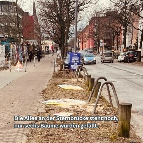 Links ein Radweg, rechts eine Straße, dazwischen ein schmaler Grünstreifen mit Bäumen im Hintergrund. Im Vordergrund Baumstümpfe zwischen Fahrradständern.
Text unten: Die Allee an der Sternbrücke steht noch, nur sechs Bäume wurden gefällt.