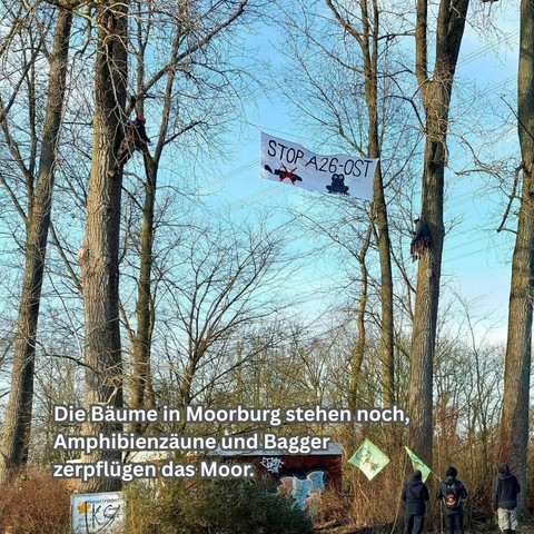 Zwischen hohen Bäumen hängt ein Banner mit der Aufschrift Stop A26Ost, einem durchgestrichen Auto und einem Frosch. Im Hintergrund weitere Bäume, vorne stehen drei Menschen mit Fahnen. Text unten: Die Bäume in Moorburg stehen noch, Amphibienzäune und Bagger zerpflügen das Moor.