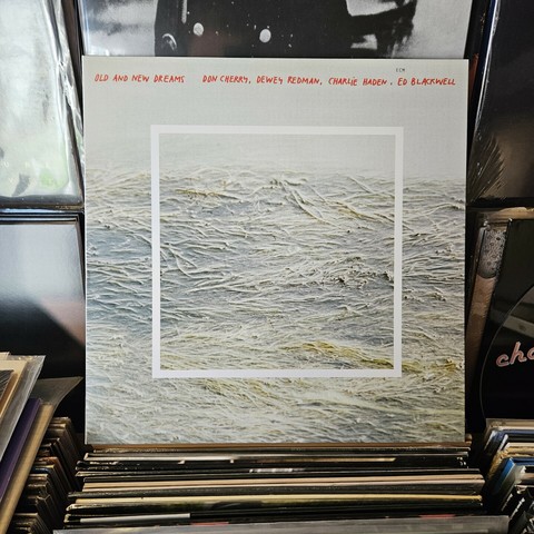 Album cover features an image that looks to be a detail from a photograph of a body of water, with grass floating atop the surface.