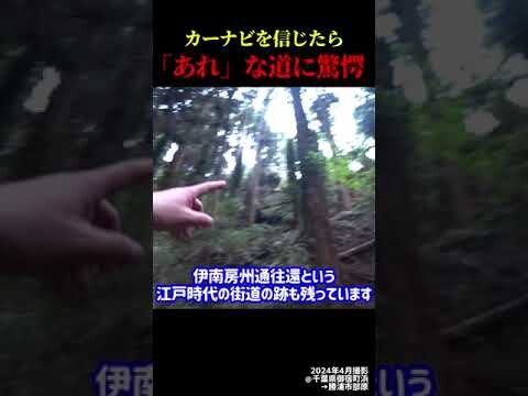 【廃道&廃トンネル】カーナビを信じたら？国道128号の旧道の現状 #shorts