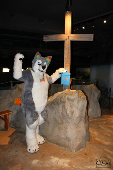 husky fursuiter standing next to a summit cross on top of the Switzerland-area in Klimahaus Bremerhaven, Germany
