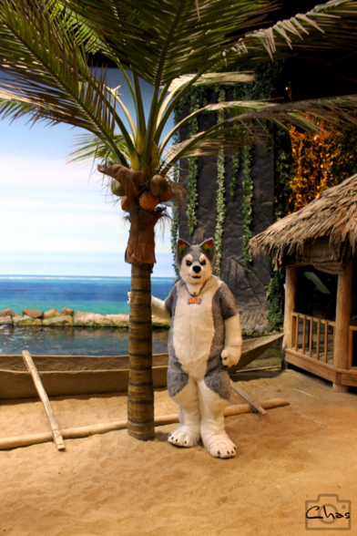 husky fursuiter standing next to a palm tree and a logboat in the Samoa-area of Klimahaus Bremerhaven
