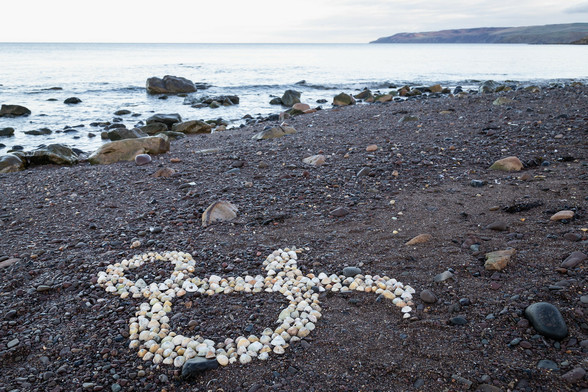 An ampersand on a beach, created by arranging some unoccupied limpet shells.