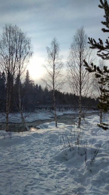 view of a small river at springtime