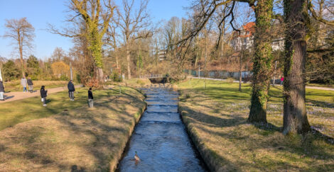 Ein Fluss bzw. Kanal führt gerade durch einen Park, in welchem Bäume stehen. Eine Ente steht auf einem Stein im Wasser, einige Menschen machen Fotos mit ihren Smartphones.