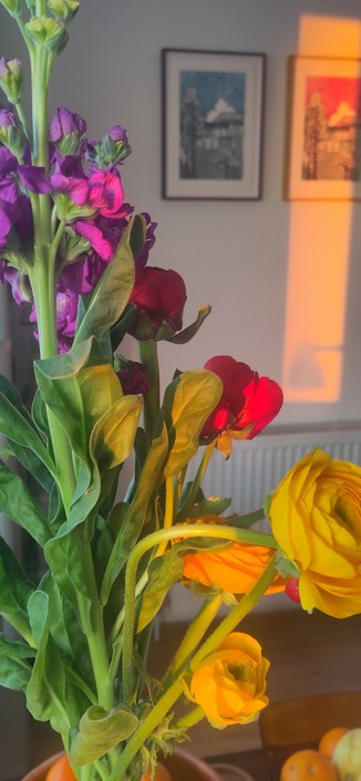 A close up of yellow, red and purple flowers in a vase catching the pink first rays of sun