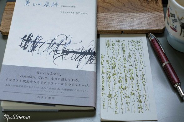 Book: La Bellezza Del Segno -Elogiao della scrittura a mano by Francesca Biasetton. Handwriting: Excerpts from Sebastiano Vassalli's column in Il Corriere della Sera, 7/7/2013