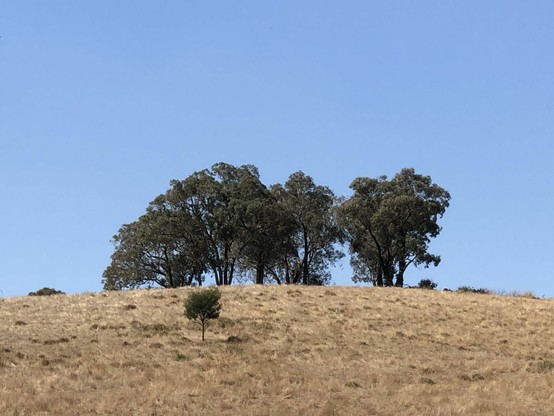 Favourite hill, straw yellow and pale blue has dried out.