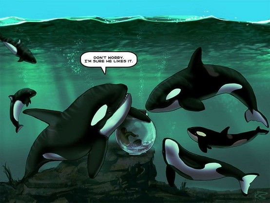 The image is a thought-provoking illustration showing a group of orcas swimming freely in the ocean. In the center, a large orca is playfully interacting with a transparent bubble containing a tiny human. One of the orcas, possibly attempting to reassure another, has a speech bubble that says, "Don't worry. I'm sure he likes it." This image appears to reverse the roles commonly seen in marine parks, providing a critique of human practices by depicting a human in the type of enclosure typically used for marine animals.