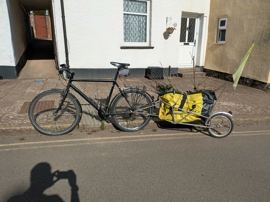 Dave the black Cannondale with the trusty Bob Yak trailer attached, full of sticks.