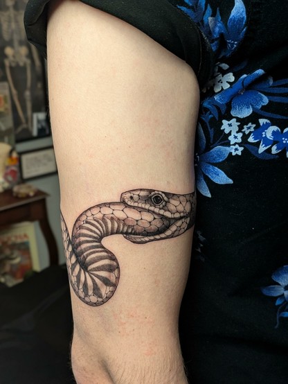 A fresh black and gray tattoo of an Ouroboros, which is a snake eating its own tail, around the bicep of a white arm. The snake's underbelly shows a little before curving around and going into its own mouth. The eyeball of the snake is fucking awesome I can't get over it and I'm so excited 🐍