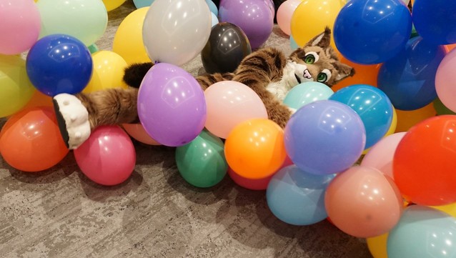 A brown tabby cat fursuiter (Kadarus) lying on a pile of balloons on the floor.