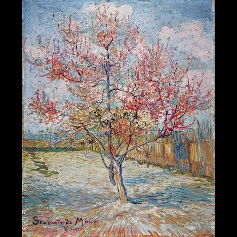 The image is a vibrant impressionist painting by Vincent van Gogh. It features a single cherry blossom tree in full bloom, with pink and green leaves against a blue sky speckled with white clouds. The artwork is characterized by thick brushstrokes and a distinctive use of color that captures the essence of the scene with a sense of energy and life.