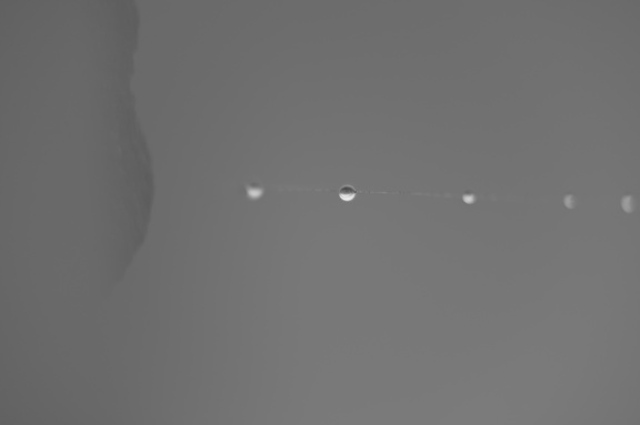 A string of droples in black and white