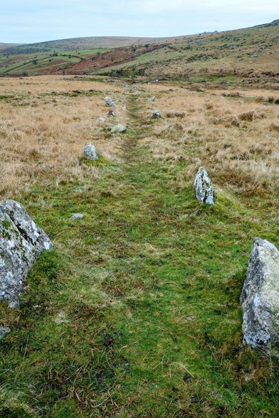 A medium shot of a stone row stretching across a grassy moorland landscape. The row consists of a series of pale, roughly hewn standing stones, spaced intermittently along a narrow path of slightly greener grass. Two larger stones are prominent in the foreground, framing the bottom of the image. The landscape is predominantly brown and yellow, indicating dry grasses, with a gentle slope rising in the background. The sky is overcast and grey. The overall scene conveys a sense of ancient history and a remote, natural environment.