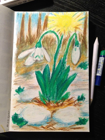 Snow drop with a hint of trees and the bright sun in the background. In the foreground there are blotches of snow. At least this was my attempt.