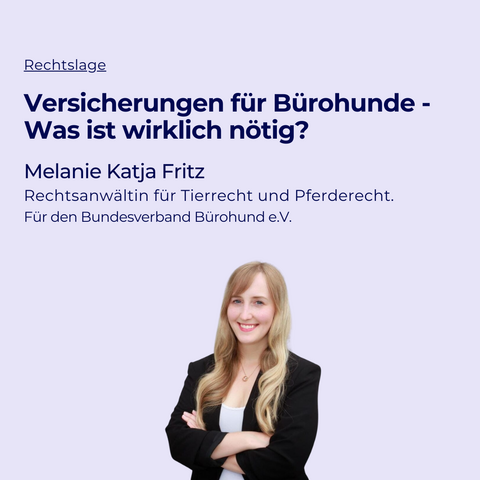 Das Bild hat einen hellen, lavendelfarbenen Hintergrund.

Oben links steht in kleiner, blauer Schrift das Wort "Rechtslage".

In der Mitte des Bildes ist eine große, dunkelblaue Überschrift:
"Versicherungen für Bürohunde – Was ist wirklich nötig?"

Darunter steht in mittlerer Schrift:
"Melanie Katja Fritz"

Direkt darunter folgt eine weitere Zeile in kleinerer Schrift:
"Rechtsanwältin für Tierrecht und Pferderecht. Für den Bundesverband Bürohund e.V."

Im unteren Bereich des Bildes ist ein Foto von Melanie Katja Fritz. Sie ist eine junge Frau mit langen, blonden Haaren. Sie trägt einen schwarzen Blazer über einem weißen Oberteil und hat die Arme verschränkt. Sie lächelt freundlich.

Das Design ist schlicht und professionell, mit Fokus auf die Informationen zum Thema Bürohund-Versicherungen.