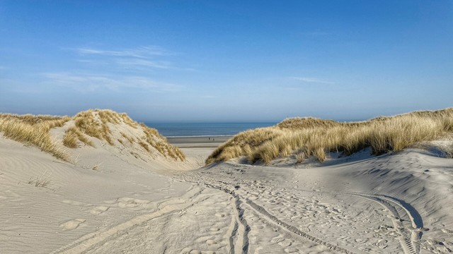 Wide-angle view from the sandy dunes in the nature reserve Het Oerd on the Dutch island Ameland towards the beach and sea. The sky is bright blue, the sun shines on the dunes and the white sand.