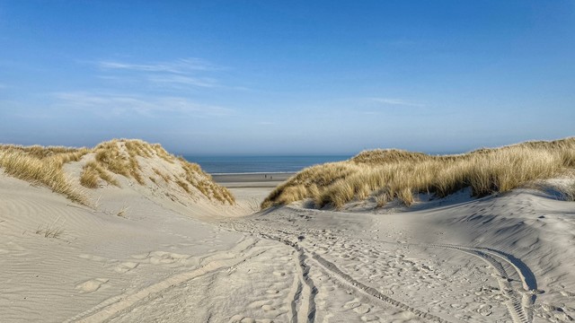 Wide-angle view from the sandy dunes in the nature reserve Het Oerd on the Dutch island Ameland towards the beach and sea. The sky is bright blue, the sun shines on the dunes and the white sand.