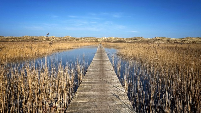 A boardwalk in the dunes of Ameland leads across a small inland lake towards the beach. The weather is sunny with a blue sky.